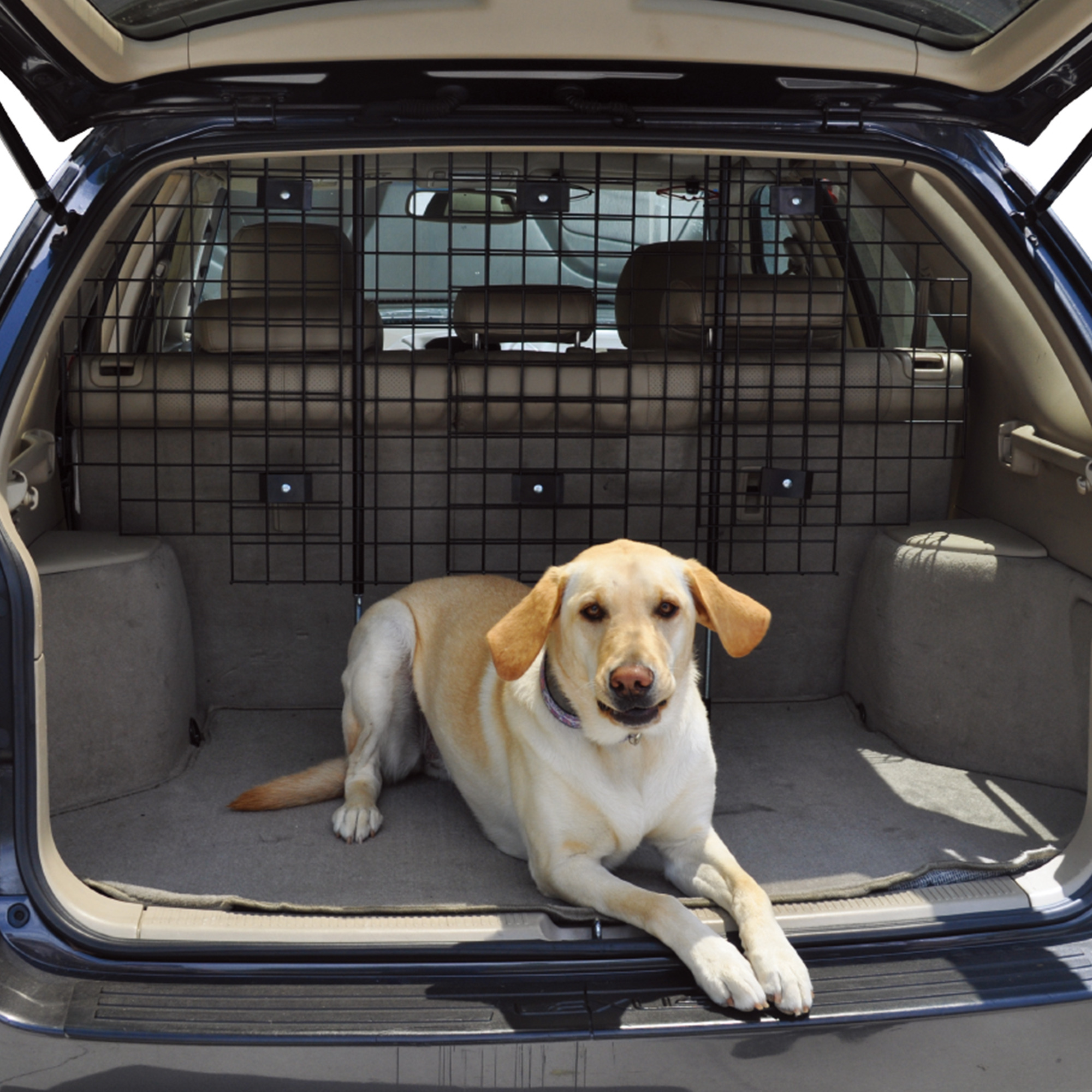 WinPet Automotive Pet Barrier, Model # 21651